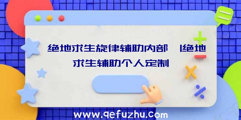 「绝地求生旋律辅助内部」|绝地求生辅助个人定制